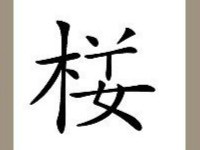 【一个楼字少一点答案是什么?】
