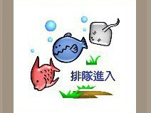 【三条鱼排队进入答案是什么?】