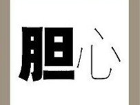【胆字和心字答案是什么?】