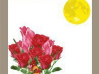 【月亮和花的答案是什么】