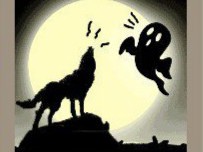 【一匹狼和一个幽灵答案是什么】