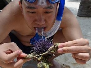 难以形容 造句