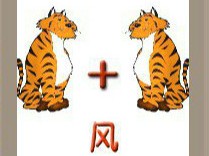 【两只老虎一个加号一个风字答案】