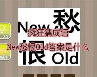 看图猜成语：New愁恨Old答案是什么