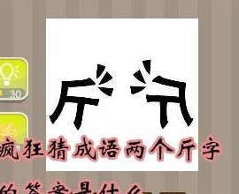 【两个斤字的答案是什么】