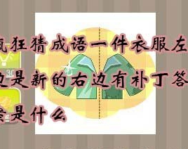 【一件衣服左边是新的右边有补丁答案是什么】