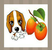 看图猜成语：一条狗和两个柿子答案是什么
