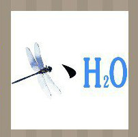 看图猜成语：一只蜻蜓一点和H20答案是什么