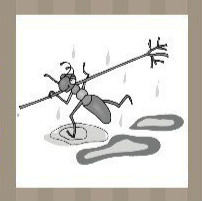 看图猜成语：一只蚂蚁背着一个树枝在雨中奔跑答案是什么