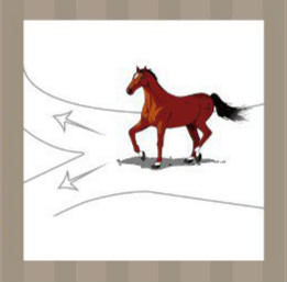 看图猜成语：一匹马在道路分叉口答案是什么？