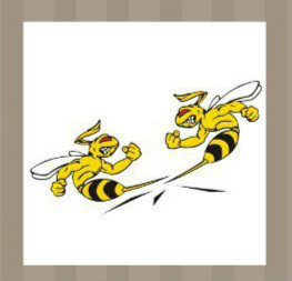 看图猜成语：两只蜜蜂在打架答案是什么？