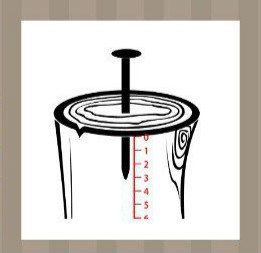 看图猜成语：一根钉子钉在一个木桩里旁边还有刻度尺答案是什么？